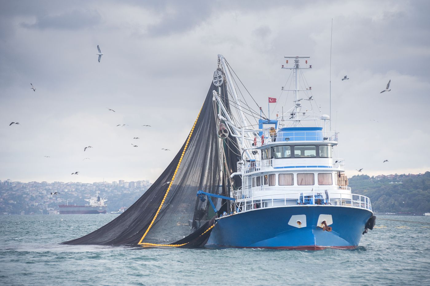 bateau de pêche